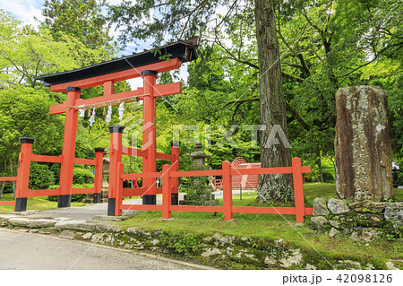 丹生都比売神社 42098126