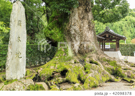 粉河寺 42098378