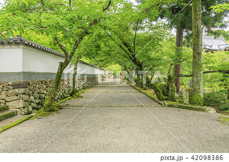 粉河寺 粉河寺 42098386