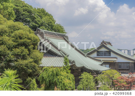 青蓮寺の本堂（鎌倉市手広） 42099368