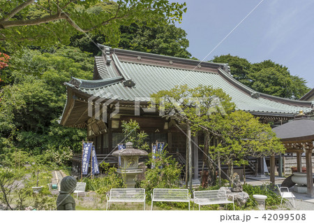 青蓮寺の本堂（鎌倉市手広） 42099508