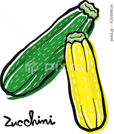 ズッキーニ 42099616