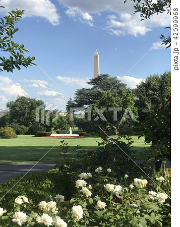 アメリカ ホワイトハウス ローズガーデン アメリカ ホワイトハウス ローズガーデン 42099968