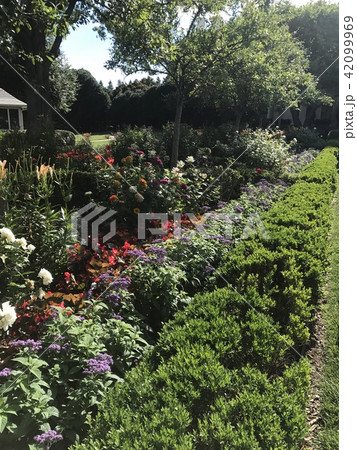 アメリカ ホワイトハウス　ローズガーデン 42099969