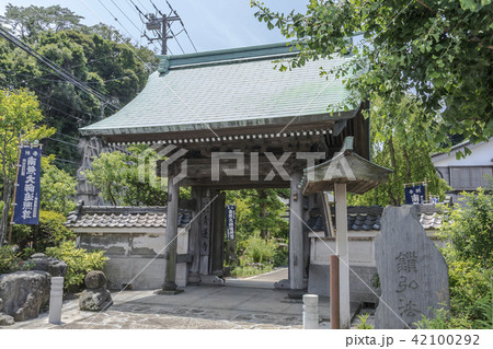 青蓮寺の山門（鎌倉市手広） 42100292
