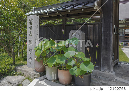 仏行寺(鎌倉市笛田) 仏行寺(鎌倉市笛田) 42100768