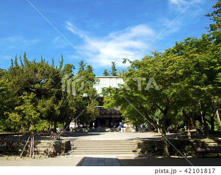 鎌倉円覚寺 仏殿 鎌倉円覚寺 仏殿 42101817