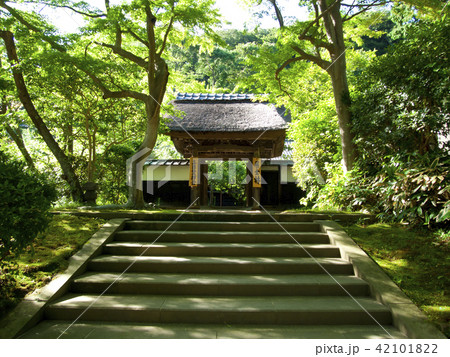 鎌倉円覚寺　居士林 42101822