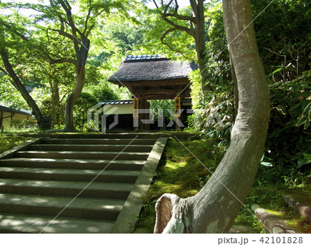 鎌倉円覚寺 居士林 鎌倉円覚寺 居士林 42101828