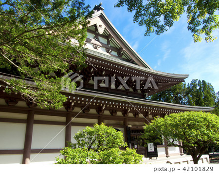 鎌倉円覚寺 仏殿 鎌倉円覚寺 仏殿 42101829