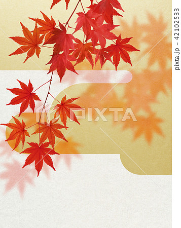 和-背景-秋-紅葉-金 42102533