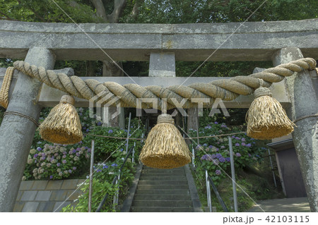 八雲神社(鎌倉市常盤) 八雲神社(鎌倉市常盤) 42103115