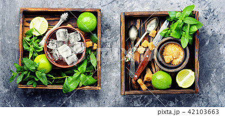 Summer mojito drink 42103663