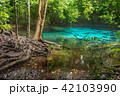 Sra Morakot emerald Pool, Krabi south of Thailand. 42103990