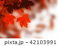 Maple leaf background 42103991