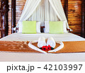 White towel and Chinese rose on bed 42103997