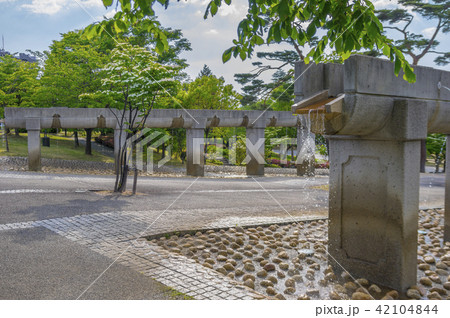 開成山公園、一本の水路 42104844