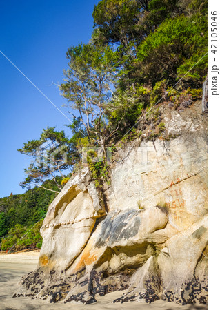 Creek in Abel Tasman National Park, New Zealand Creek in Abel Tasman National Park, New Zealand 42105046
