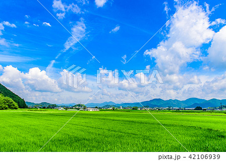 夏の田園風景 丹波篠山の写真素材