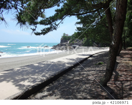 高知・桂浜・海岸 高知・桂浜・海岸 42106971