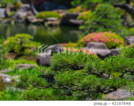 島根県の日本庭園 由志園 島根県の日本庭園 由志園 42107648