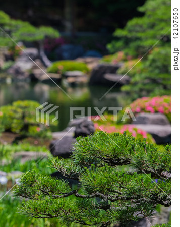 島根県の日本庭園 由志園 島根県の日本庭園 由志園 42107650