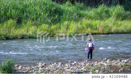 鮎の友釣り 42109486