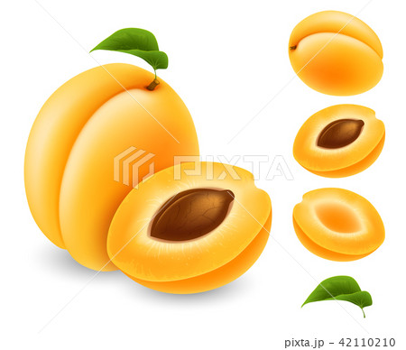 Set of apricot fruit 42110210