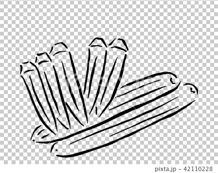 夏野菜 筆で描くやさい 和のイラスト キュウリ オクラのイラスト素材 42110228 Pixta