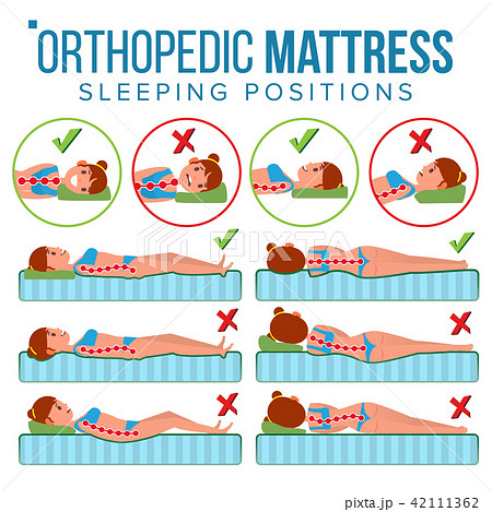 Orthopedic Mattress Vector. Curvature Of Human Spine. Sleeping Position. Spine Support. Health Body Orthopedic Mattress Vector. Curvature Of Human Spine. Sleeping Position. Spine Support. Health Body 42111362