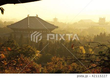 奈良の夕景 奈良の夕景 42113227