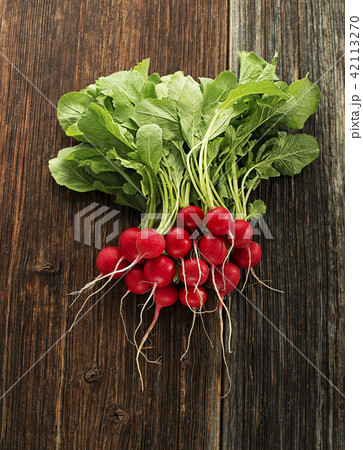 Radish Radish 42113270