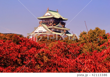 大阪城(大阪市)の紅葉 大阪城(大阪市)の紅葉 42113386