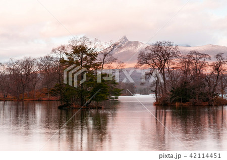 Mount Komagatake from Onuma Quasi-National park 42114451