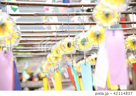 京都正寿院ふうりん祭 京都正寿院ふうりん祭 42114837