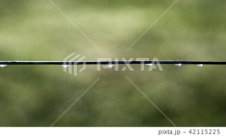 Rain drops from black wire fence Rain drops from black wire fence 42115225