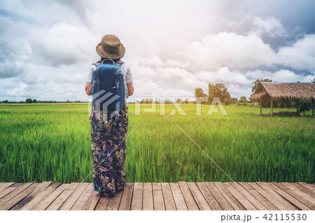 Woman traveller hiking Asian rice field landscape. Woman traveller hiking Asian rice field landscape. 42115530