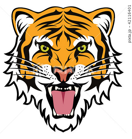 Vector Stylized Face Of Angry Tigerのイラスト素材