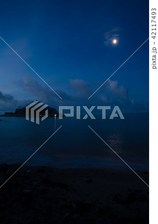 夜明け前の月夜の中のセントマイケルズマウントと海岸 夜明け前の月夜の中のセントマイケルズマウントと海岸 42117493