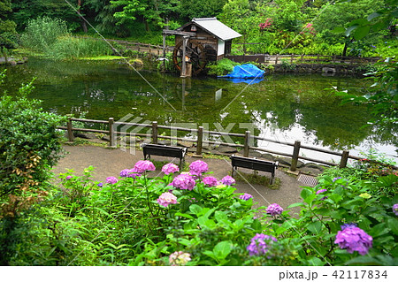 6月 松濤06水車小屋のある池 渋谷区立鍋島松濤公園の写真素材