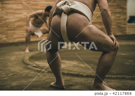 Sumo wrestling Sumo wrestling 42117868