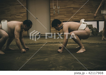 Sumo wrestling 42117908