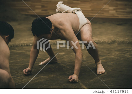 Sumo wrestling 42117912