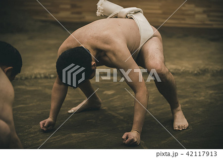 Sumo wrestling Sumo wrestling 42117913