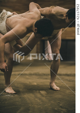 Sumo wrestling 42117952