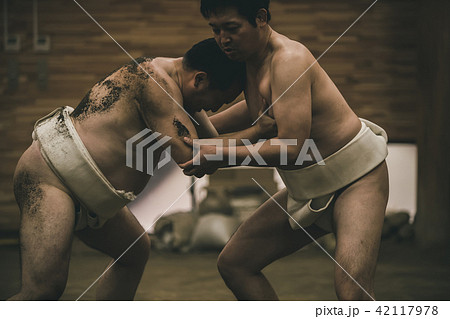 Sumo wrestling 42117978