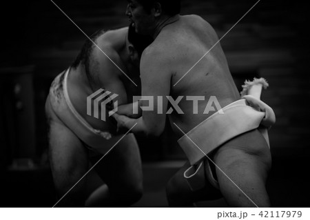 Sumo wrestling Sumo wrestling 42117979