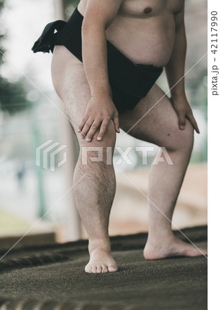 Sumo wrestling Sumo wrestling 42117990