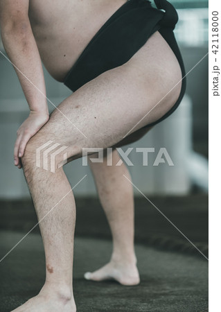 Sumo wrestling 42118000