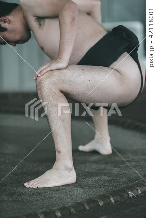 Sumo wrestling 42118001